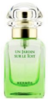 Hermes UN JARDIN SUR LE TOIT 屋顶花园 淡香水 (30ml)